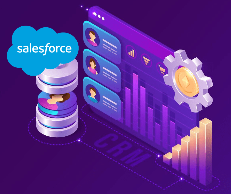 Tailoring Salesforce Customization to Direct Selling Needs